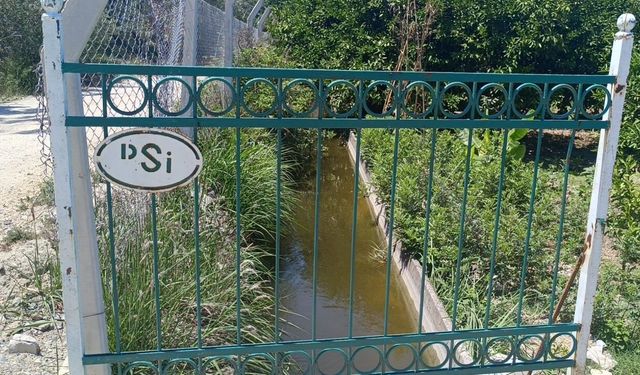 Samandağ'da 3 Yaşındaki Çocuk Sulama Kanalında Ölü Bulundu