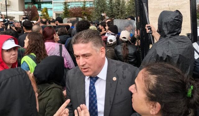 Mullaoğlu’ndan Hayvan Yasasına Tepki