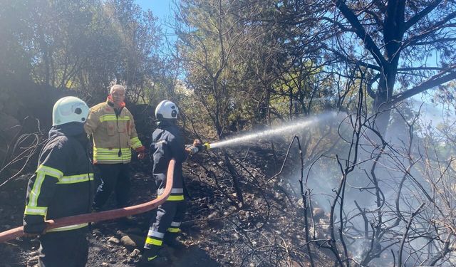 Arsuz'daki Orman Yangını Ekiplerin Müdahalesiyle Söndürüldü