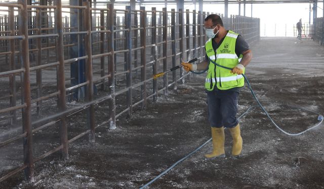 HBB’den Hayvan Pazarlarında Hastalıklara Karşı İlaçlama