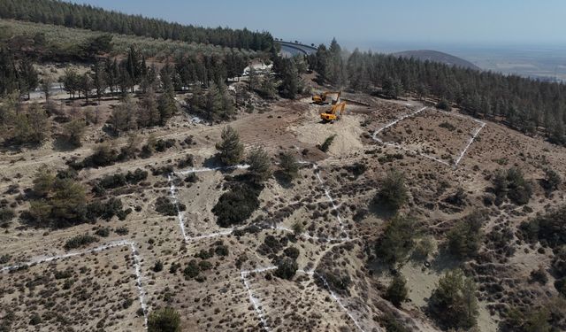 HBB’den Sokak Hayvanlarına Modern Bakımevi