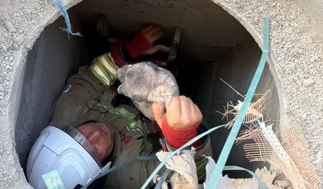 Antakya'da gider borusuna düşen köpek yavrusunu itfaiye ekibi çıkardı