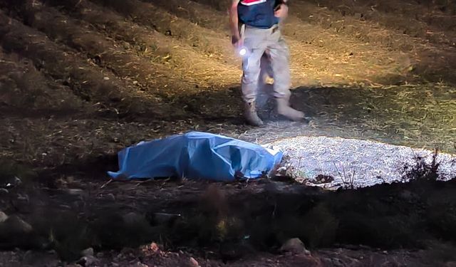 Tekeri patlayan otomobil tarlaya uçtu: 1 ölü, 2 yaralı