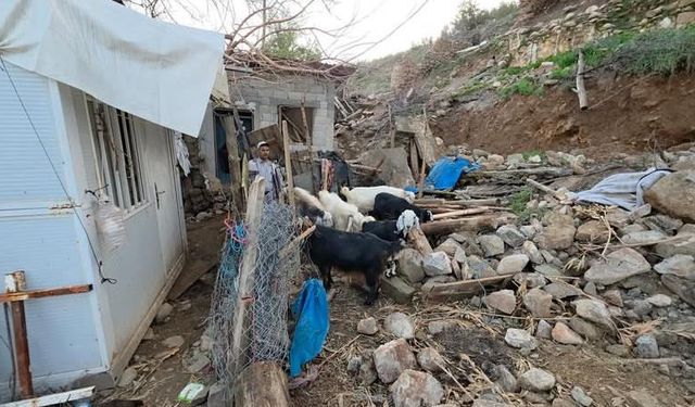 Aşırı Yağış Felaketi!