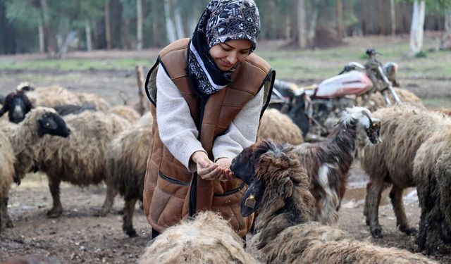 Depremde Sürüsünü Kaybetti, Devlet Desteğiyle İki Katına Çıkardı