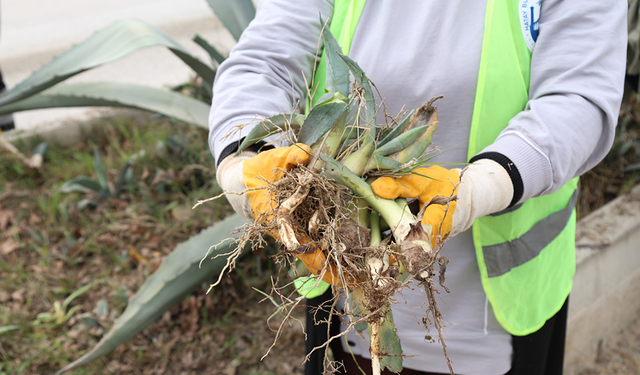 HBB’den ÜretimeKatkı Sağlayan Proje