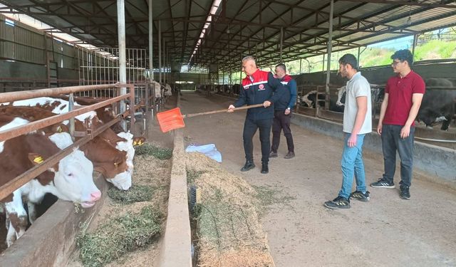 Türkmen’den Altınözü’nde Üreticiye Yakın Takip
