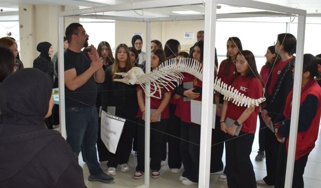 HBB’den Gençlere Kariyer Desteği