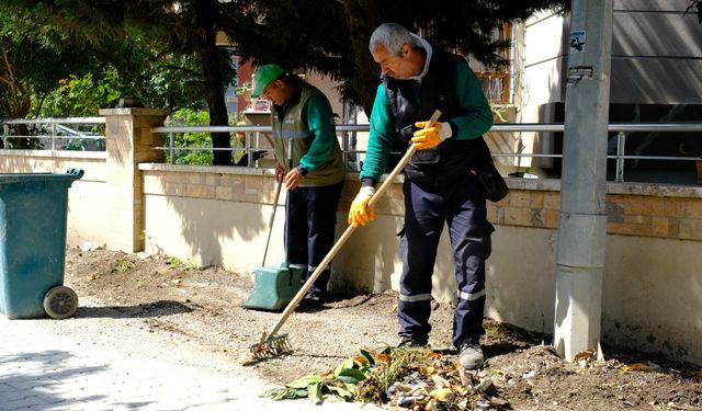 Defne’de Temizlik Seferberliği