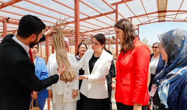 HBB’nin Su Sümbülü Projesi Yerinde İncelendi