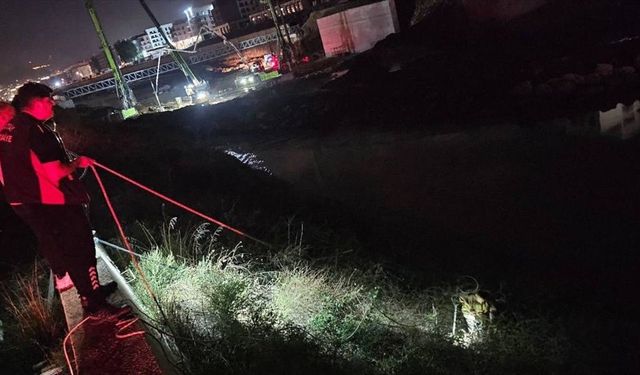 ANTAKYA'DA ASİ NEHRİNE DÜŞEN  MİNİK KOYUN KURTARILDI !