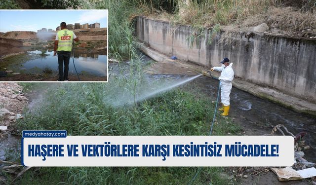 Haşere ve Vektörlere Karşı Kesintisiz Mücadele!