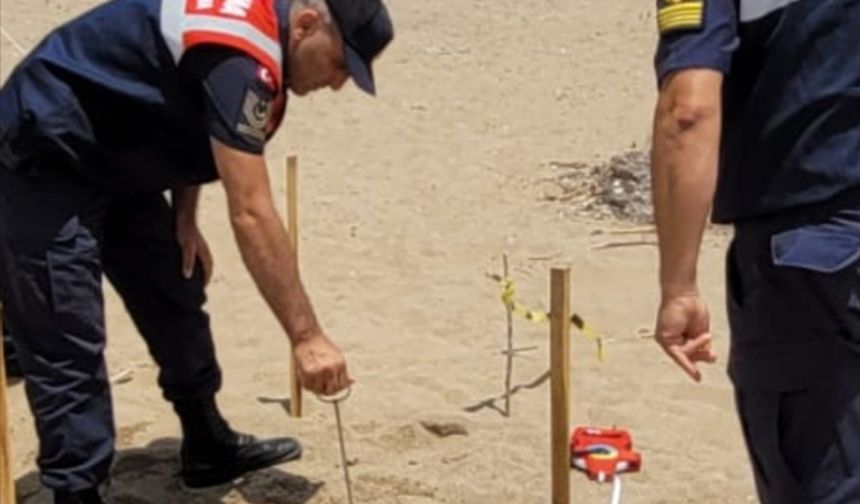 Antalya'da jandarma ekipleri tespit ettikleri caretta caretta yuvalarını korumaya aldı