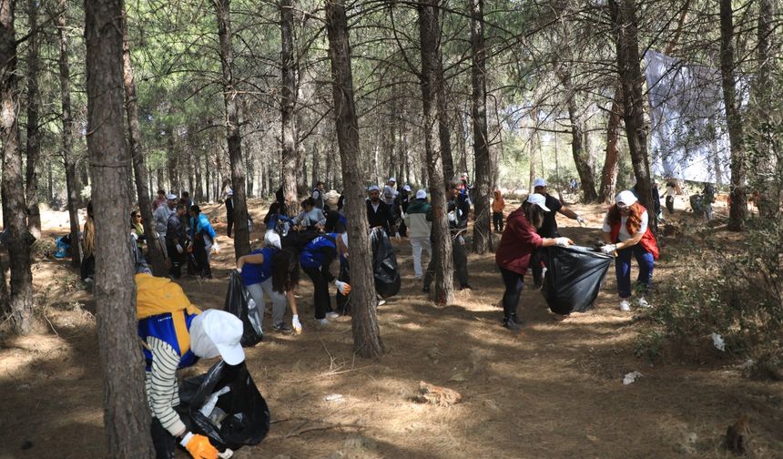 Antalya'da orman temizliği yapıldı