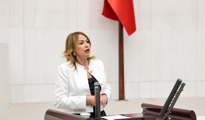 CHP Milletvekili Kara'dan Zirai Don Uyarısı: Çiftçinin Borçları Silinmeli, İcra İşlemleri Durdurulmalı