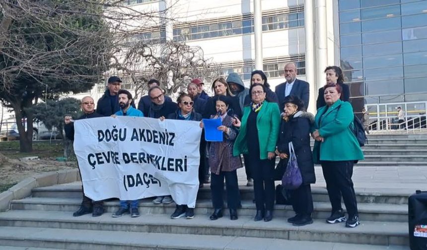 DAÇE Alarm Verdi: Zeytinlikler Gidiyor, Ekosistem Çöküyor