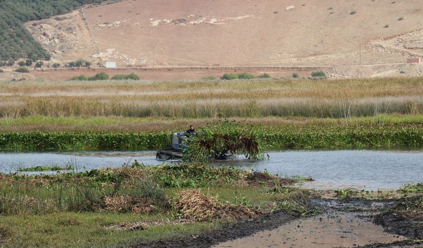 Hatay'da gölde temizlik yapılırken devrilen amfibi araçtaki belediye personeli öldü