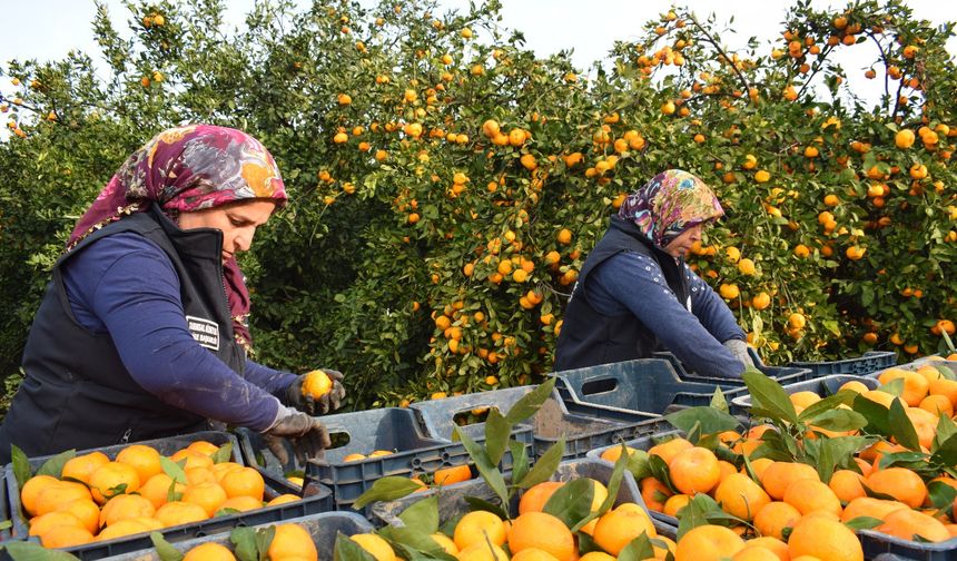 HBB ile Üretici Kazandı, Öğrenciler Sevindi!