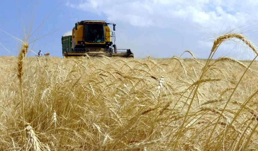 İklim Değişikliği Tarımın Coğrafyasını Değiştiriyor