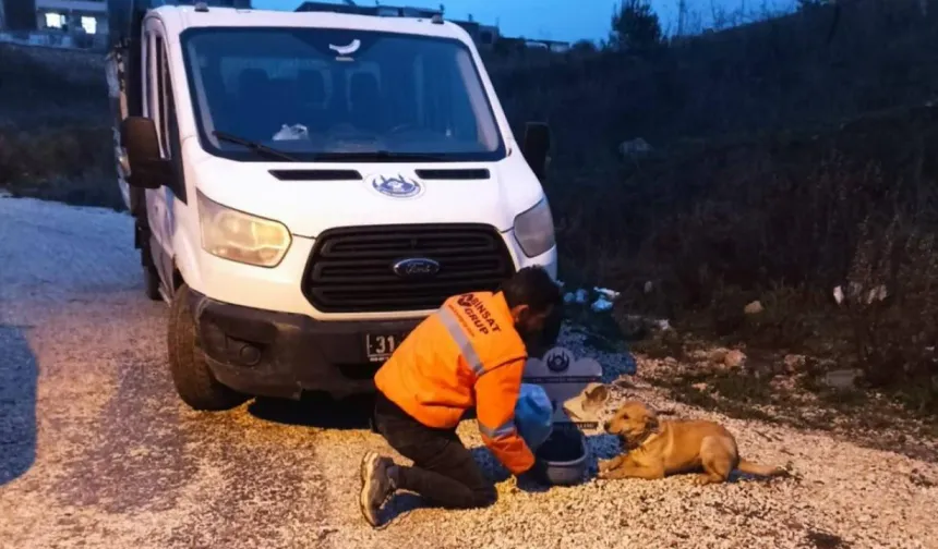 YALÇIN: Can Dostlarımız Yalnız Değil