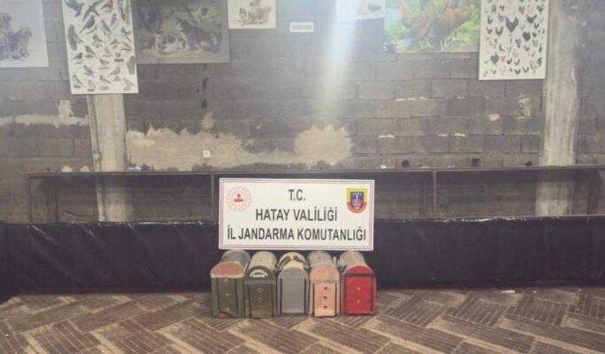 Dörtyol’da Horoz Dövüşü Operasyonu!