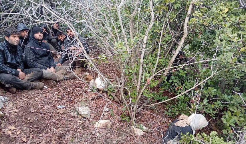 Yayladağı’nda 3 Günlük Göç Denetimi