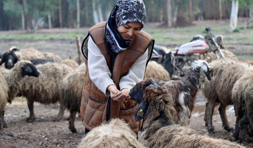 Depremde Sürüsünü Kaybetti, Devlet Desteğiyle İki Katına Çıkardı