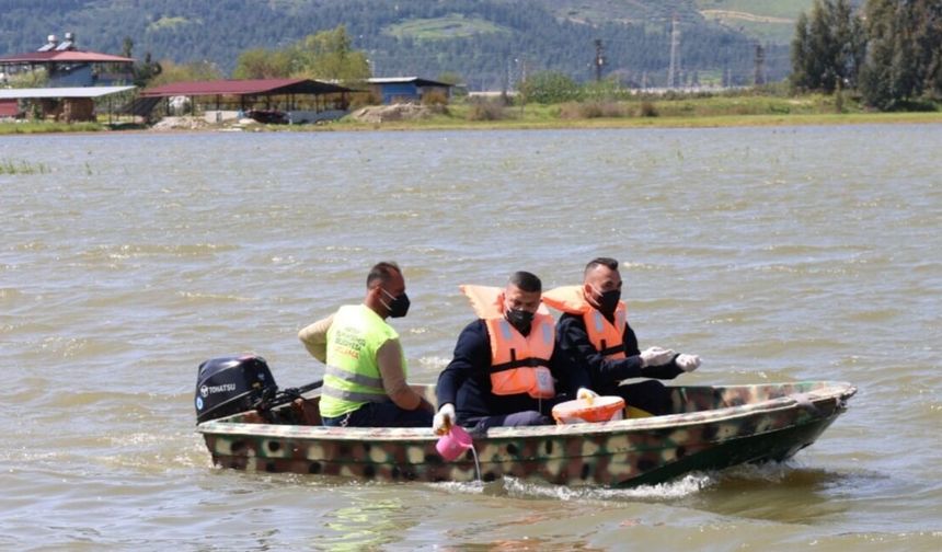 HBB’den Haşereye Karşı Kesintisiz Mücadele