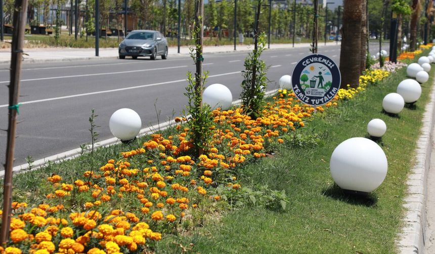İskenderun Sahiline Çiçek Açan Dokunuş