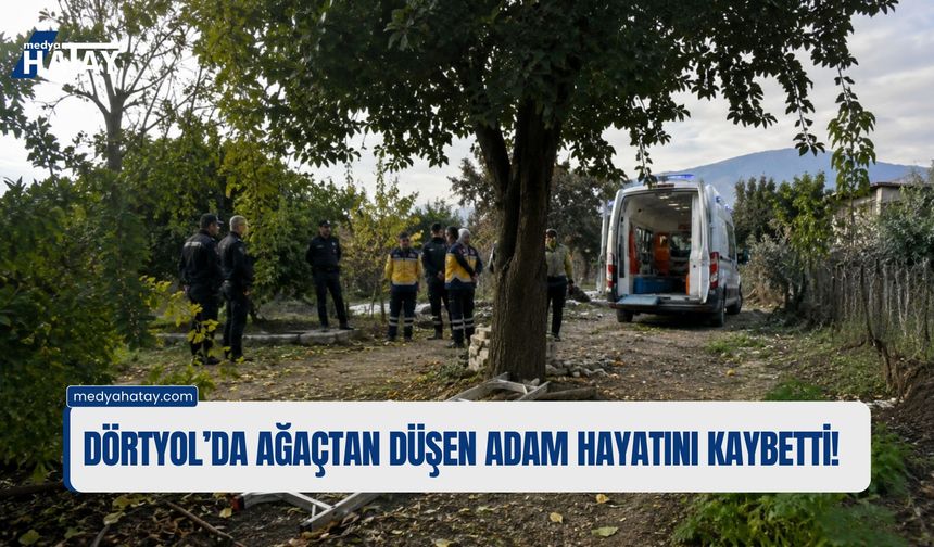 Dörtyol’da Ağaçtan Düşen Adam Hayatını Kaybetti