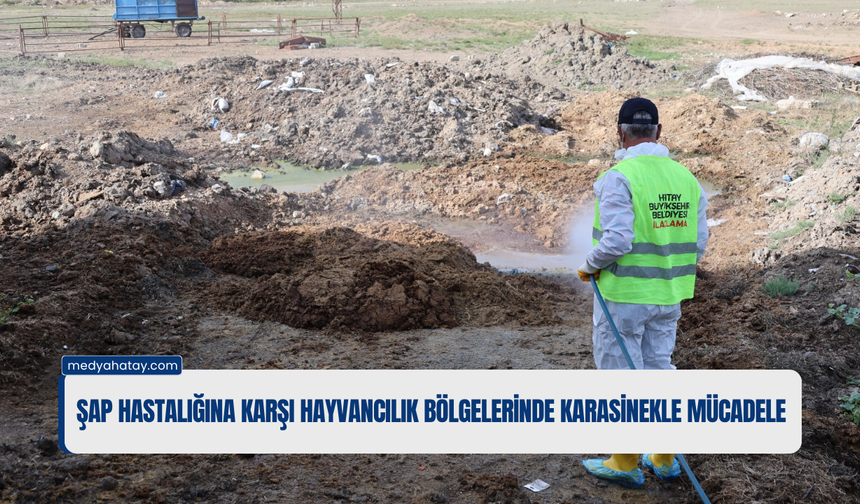 HBB’den Şap Hastalığına Karşı Mücadele