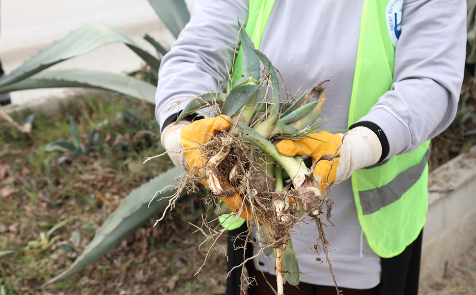 HBB’den ÜretimeKatkı Sağlayan Proje