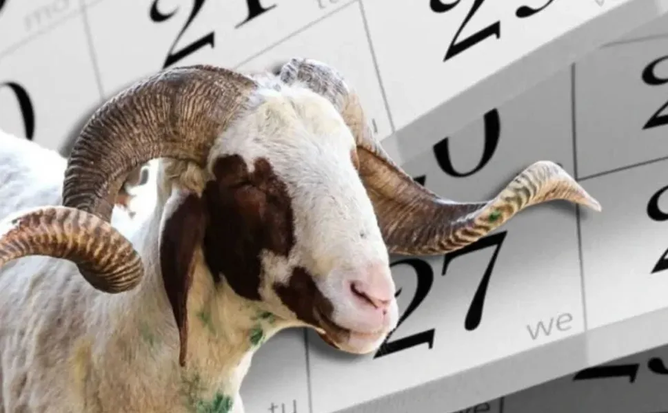 Kurban Bayramı Tatili 9 Güne Çıkarıldı!