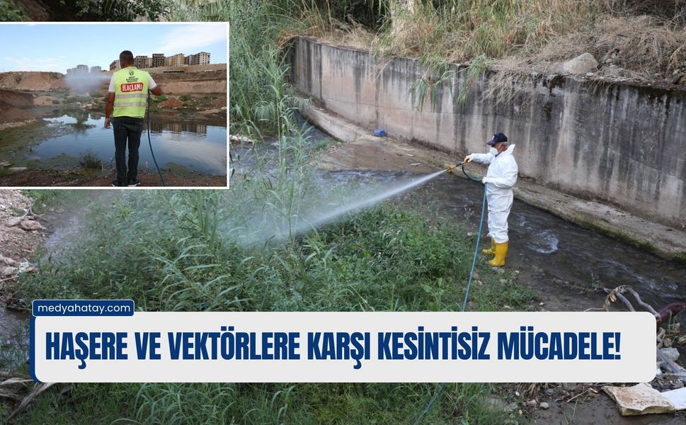 Haşere ve Vektörlere Karşı Kesintisiz Mücadele!