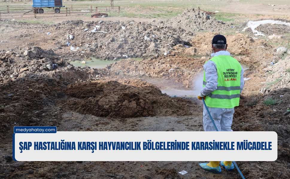 HBB’den Şap Hastalığına Karşı Mücadele