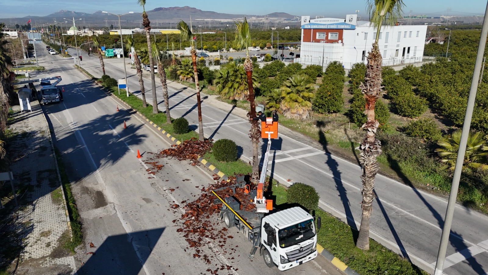 293A9647 F96F 4E8A A8Be 81A5F25C17F8