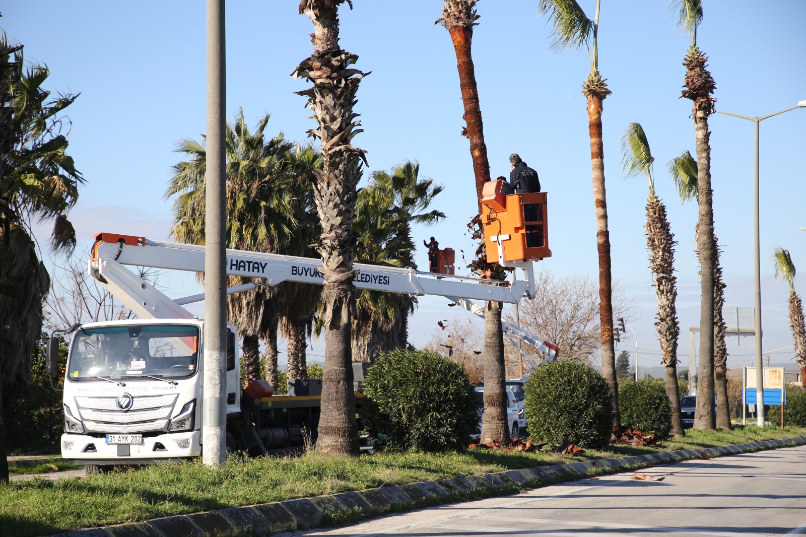 2B852013 31C9 450C Afd5 Ad641509D8B8