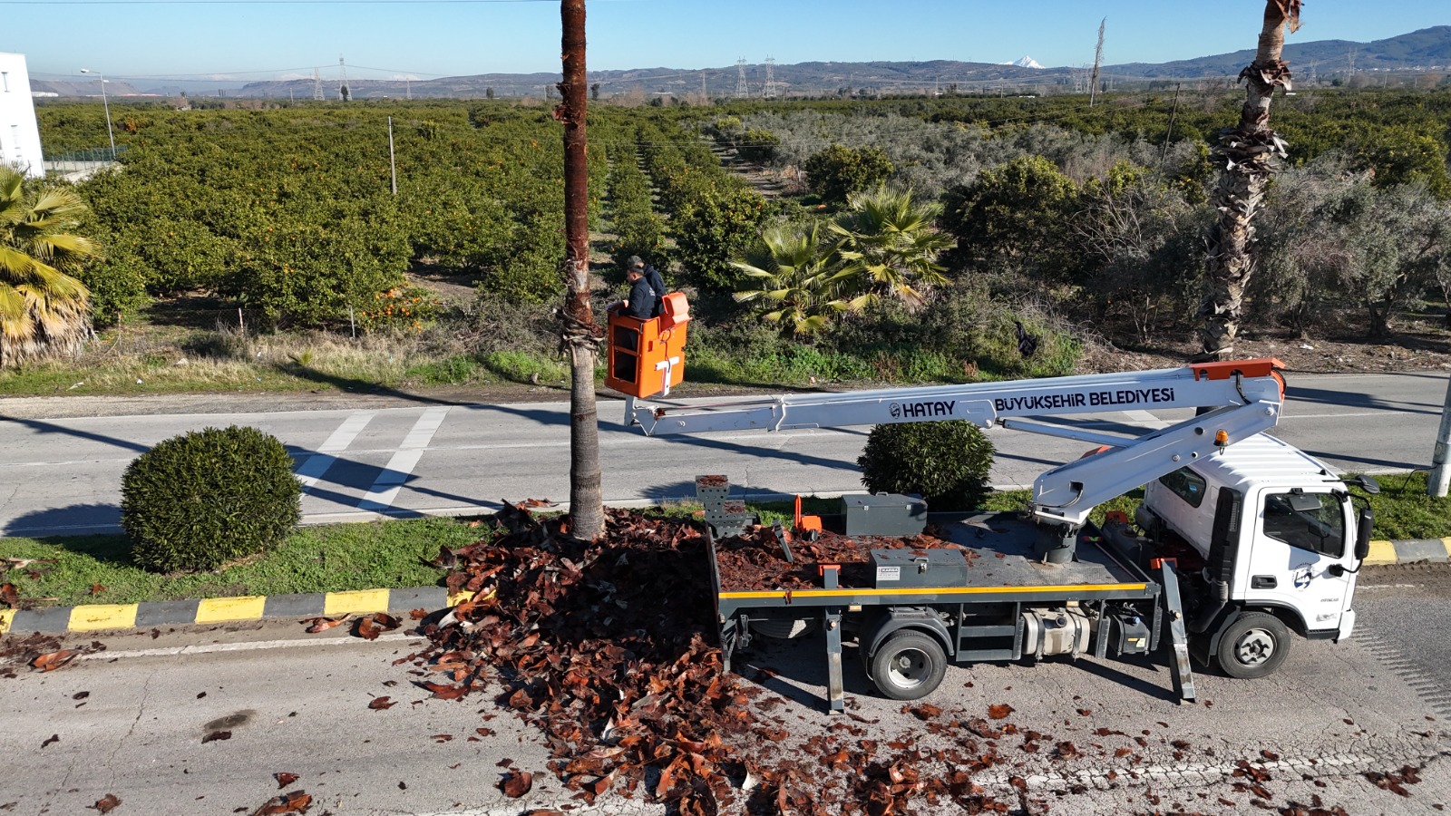 39Fcacd5 7B64 4484 A8Fe 86F11C87C50D