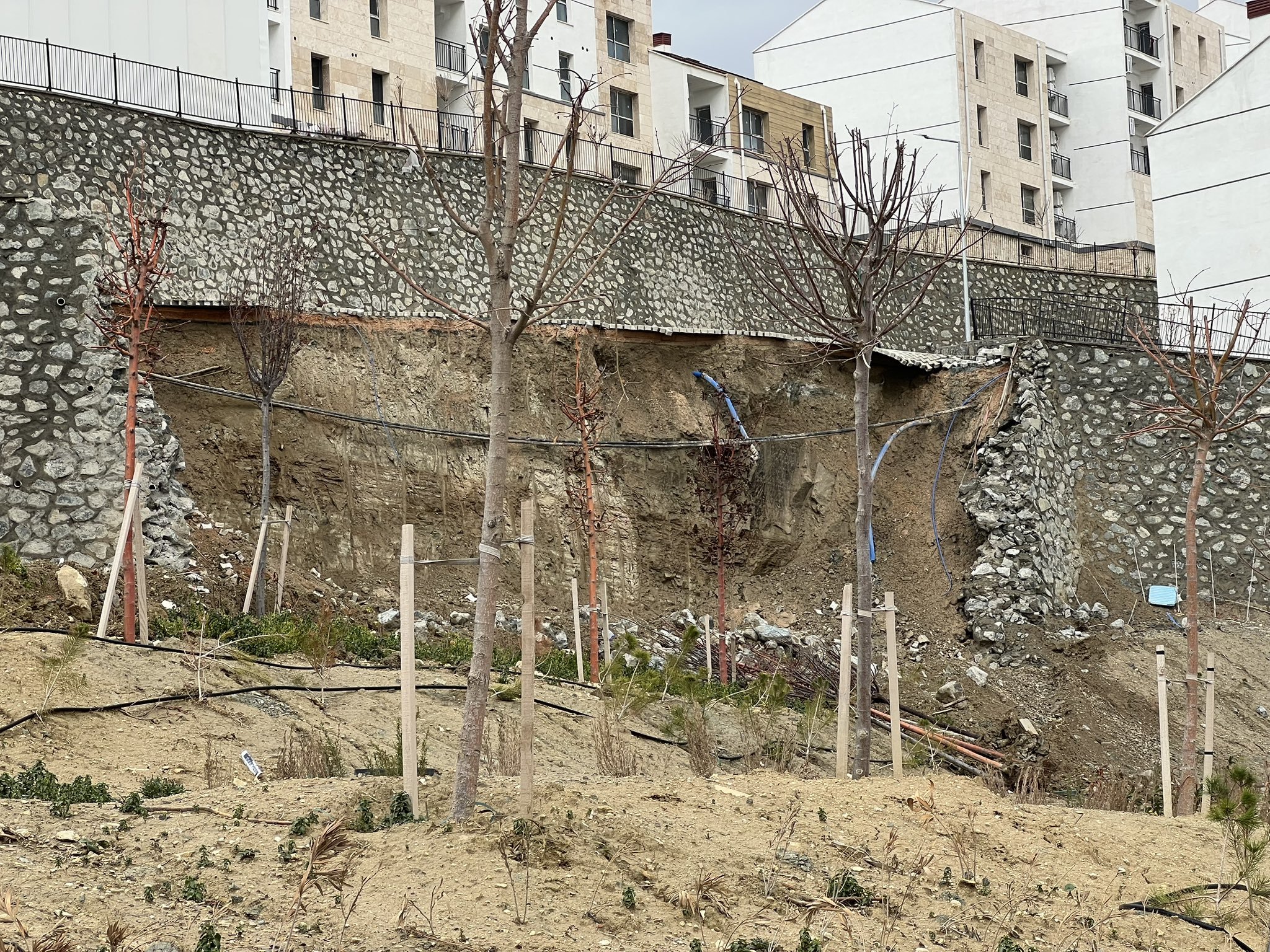 Any Conv.com G D Za5 Wg A Ay Hp