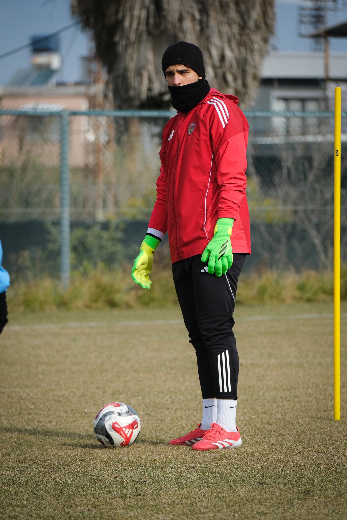 Any Conv.com G L T V Thbo A Acpad