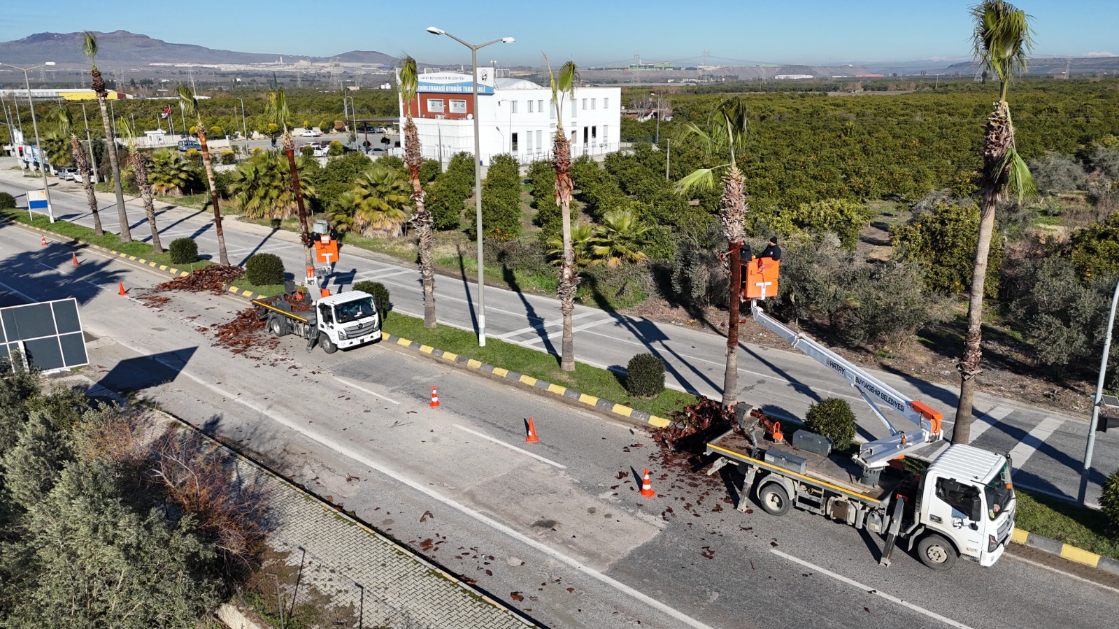 D1Fe7F88 2B2B 44Dd 8Fec De47C56E5A08