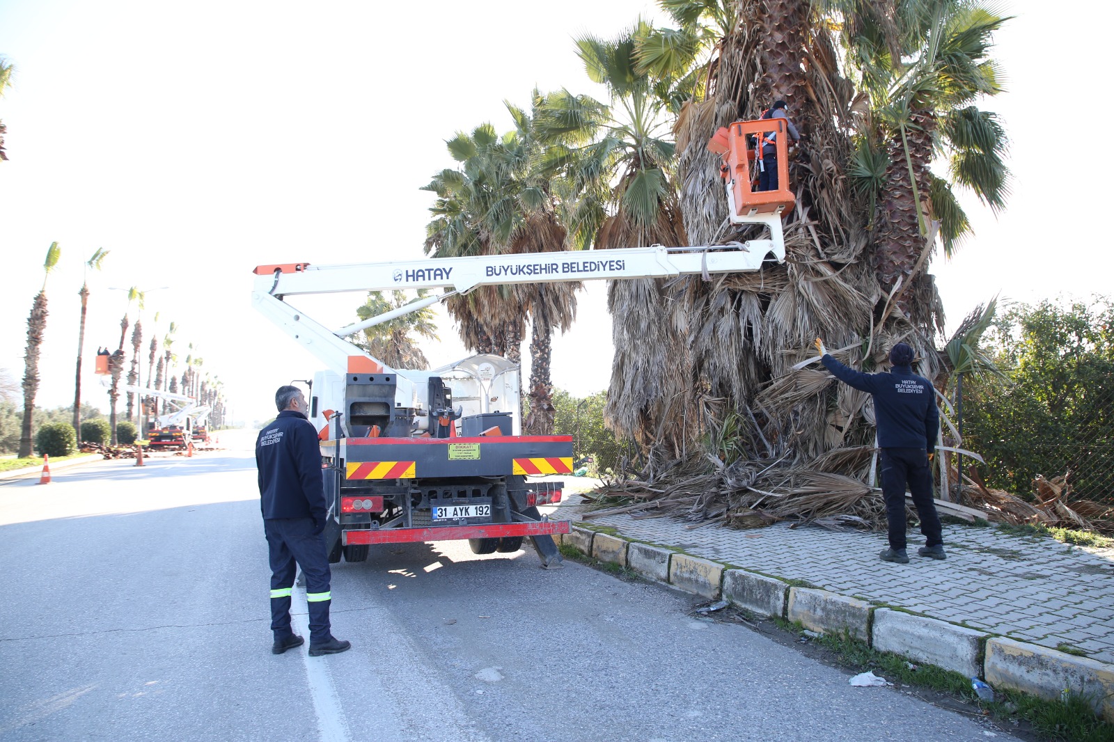 F520E81A 1Bde 4A95 Be5E B32D7Be68F68