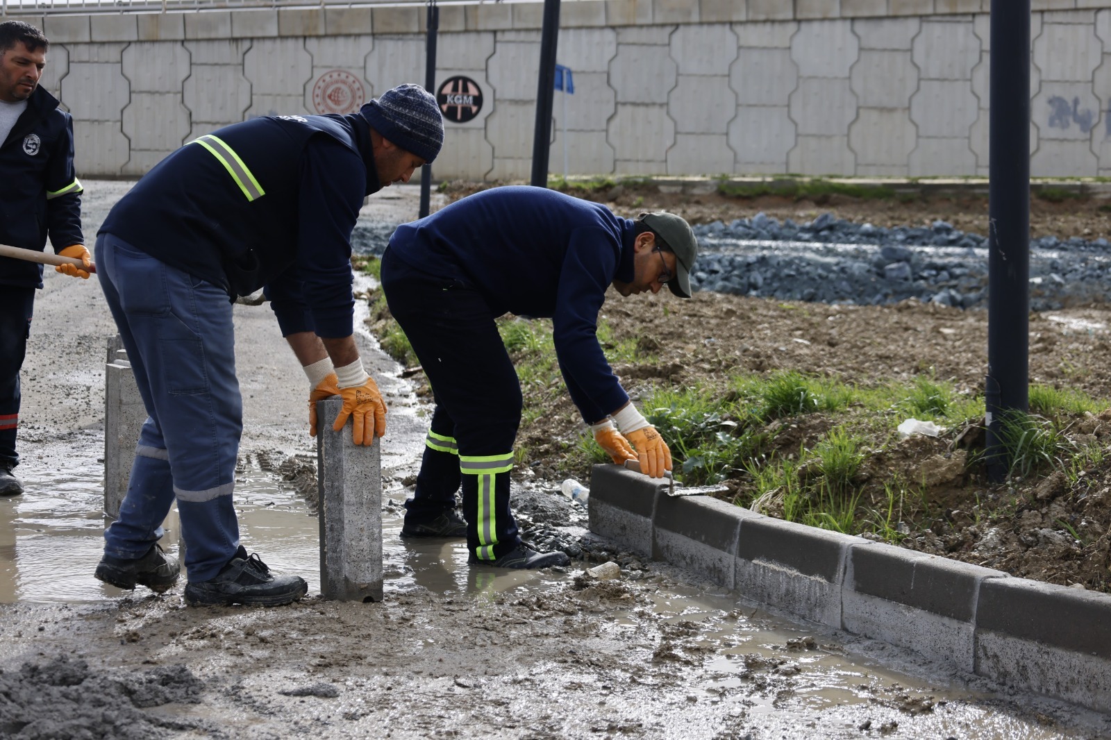 Any Conv.com 72624679 E945 4E2B 9884 5E2E3F3Ce648