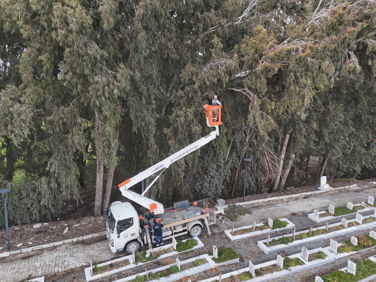 Any Conv.com Fc5C18Af 0267 41De 83Ba 84Ec5667C511