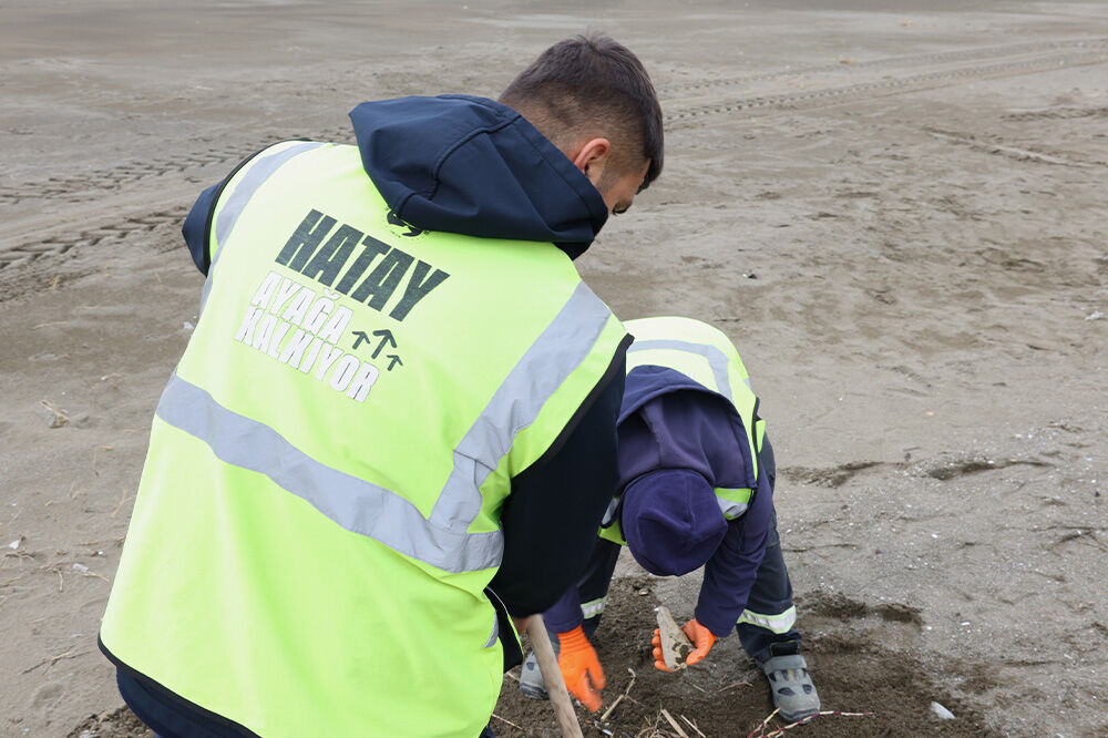 3G7A1228 20260326162524