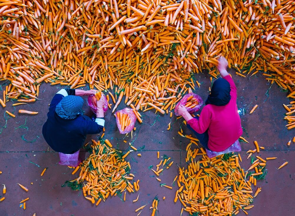 A A 20260324 40910898 40910888 H A T A Y D A H A V U C H A S A D I B A S L A D I