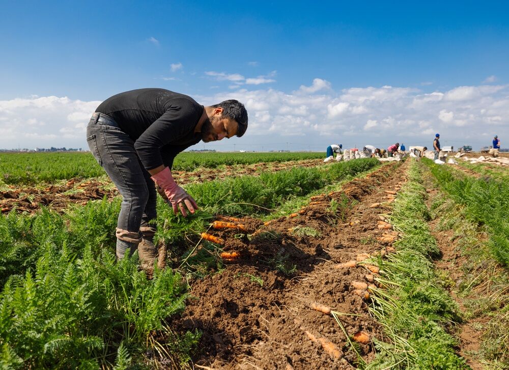 A A 20260324 40910898 40910893 H A T A Y D A H A V U C H A S A D I B A S L A D I