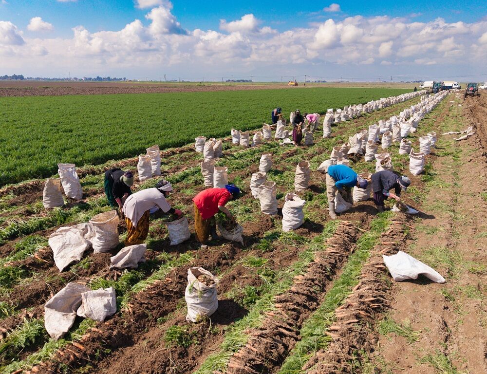 A A 20260324 40910898 40910896 H A T A Y D A H A V U C H A S A D I B A S L A D I