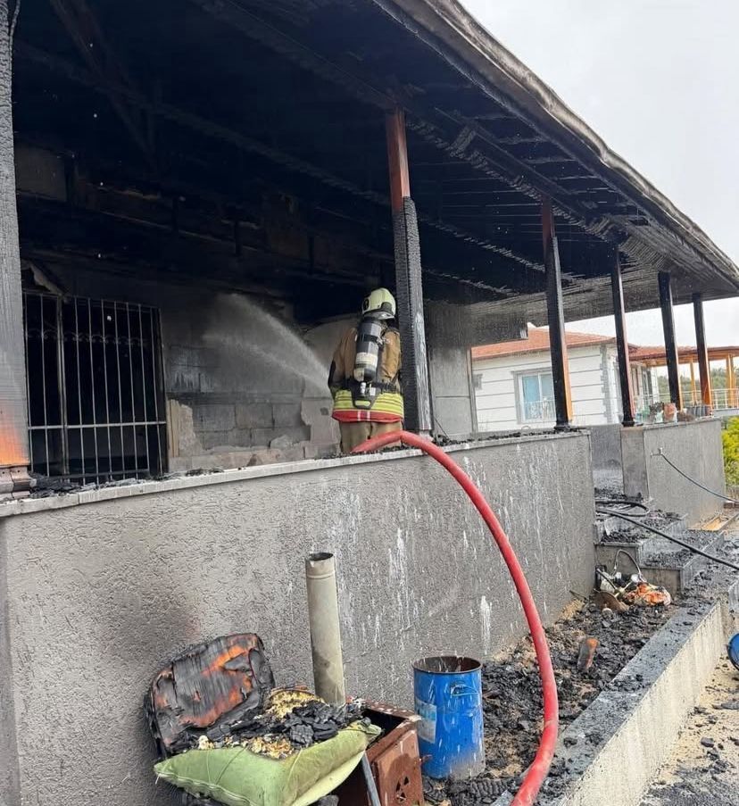 Any Conv.com 5E1C7D97 4C38 4739 81Ae D28B78C47544