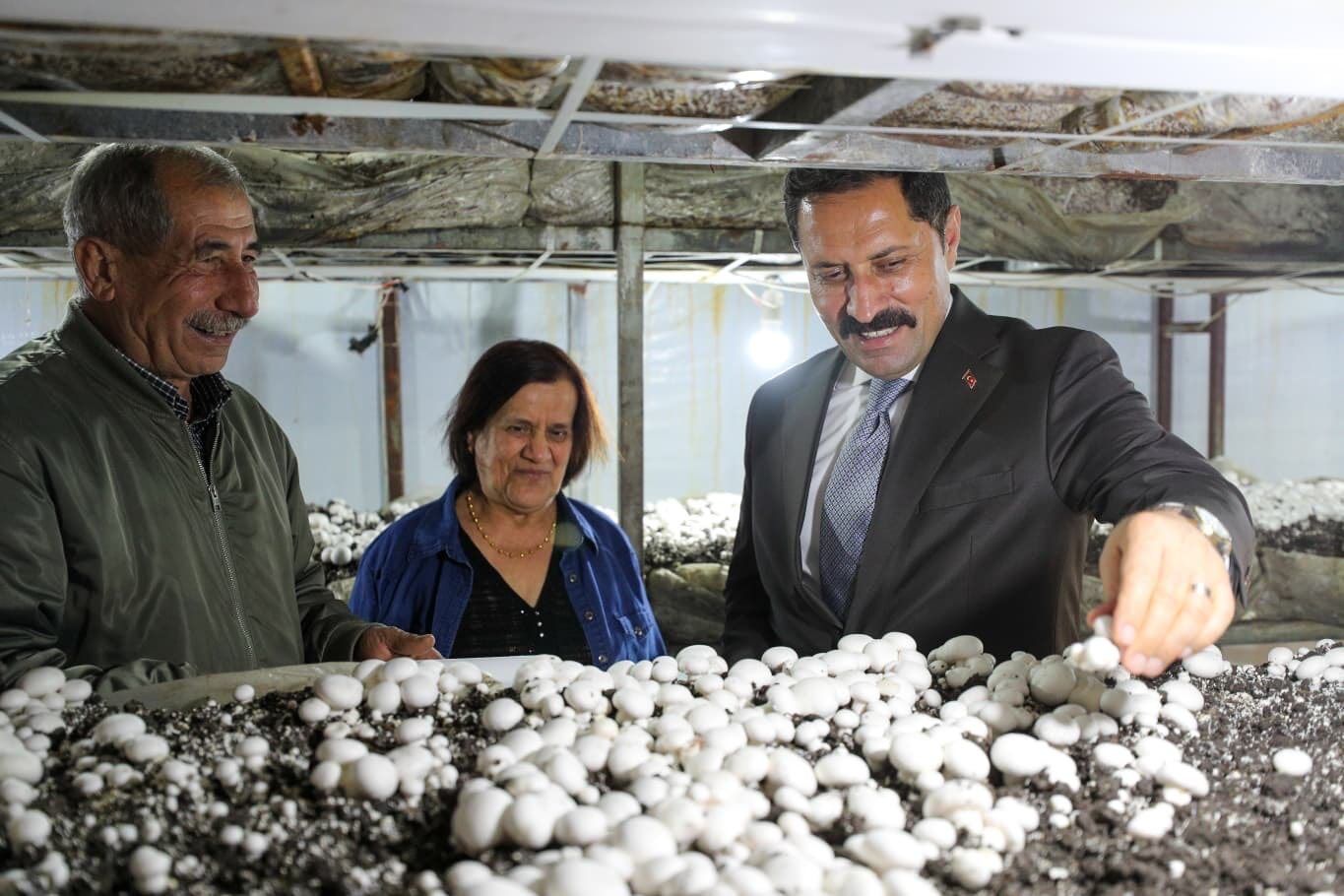 Any Conv.com H D S U Z H F W0 A A58E C